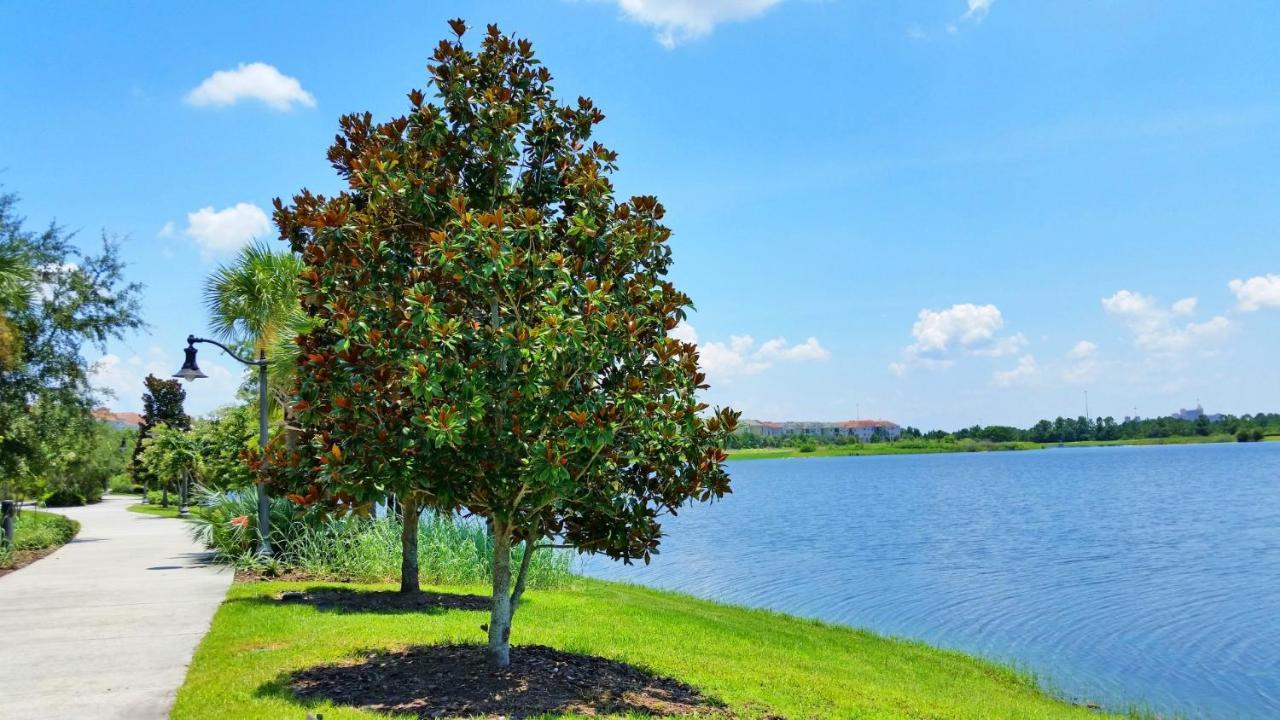Stunning Lakeview Condo Wprivate Balcony كيسيمي المظهر الخارجي الصورة